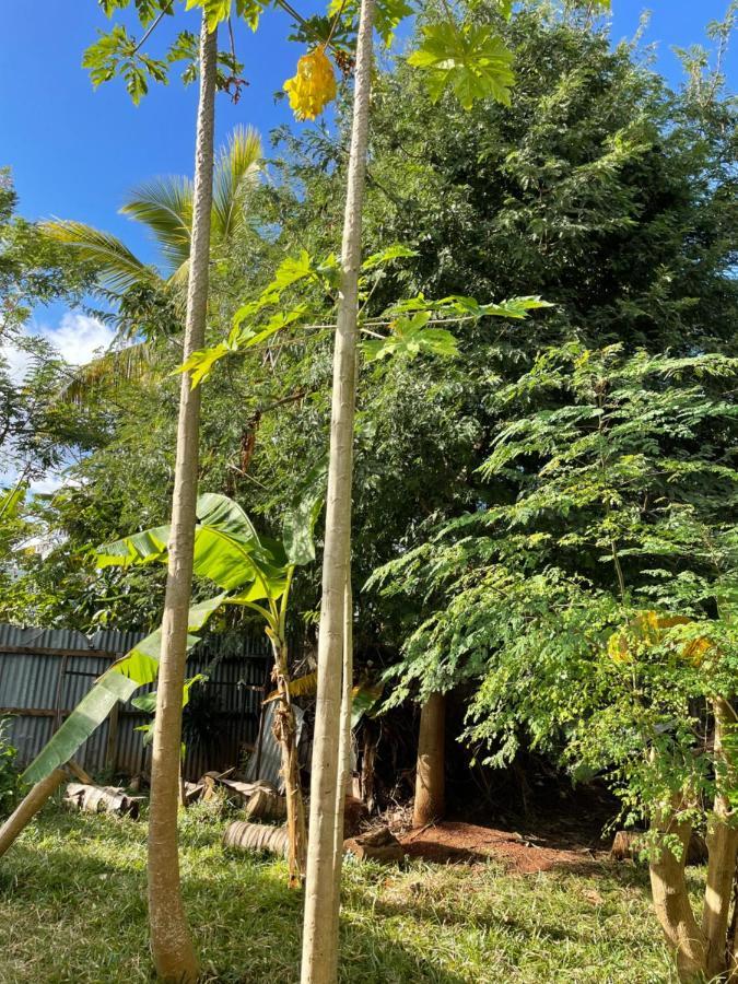 Dagoni Hotel Boueni Luaran gambar